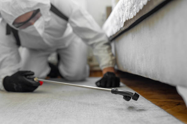 Professional Bed Bug Control technician working in Lynchburg, MS