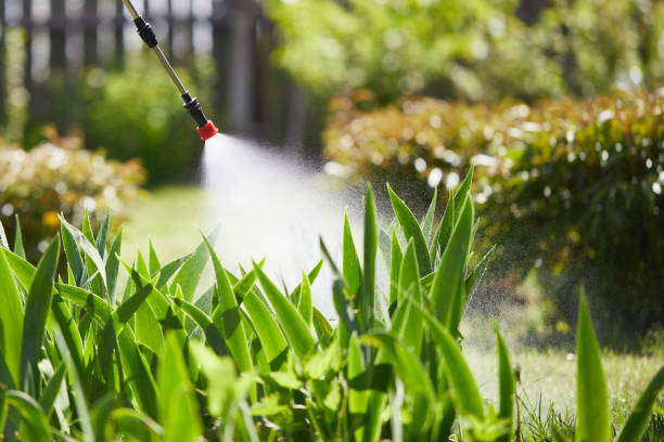 24/7 Emergency Bed Bug Control experts in Lynchburg, MS